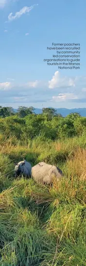  ??  ?? Former poachers have been recruited by community led conservati­on organisati­ons to guide tourists in the Manas National Park