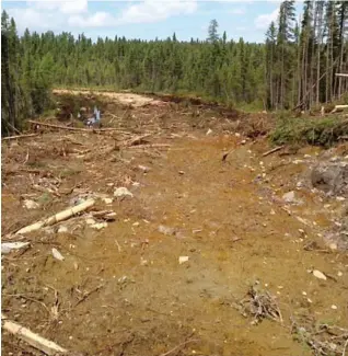  ?? PHOTO COURTOISIE ?? Québec a octroyé un permis de coupes de 200 000 m3 de bois au coeur du territoire atikamekw sans consulter la communauté.