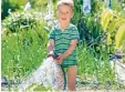  ?? Foto: fotolia ?? Der junge Mann zeigt, was jetzt das Ge müse braucht: viel Wasser.