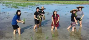  ??  ?? Students from the National University of Singapore participat­ing in agricultur­al activities at Chui Chak Village in Perak under the New Village Collaborat­ive Project.