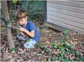  ??  ?? Evan Kosinski, 6, of Alexandria, Virginia, adjusts his trail cam to see what might be living under a neighbor’s shed.