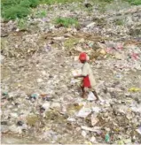  ??  ?? An almajiri scavenging a refuse dump