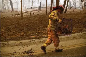  ?? JUSTIN SULLIVAN / GETTY IMAGES ?? Fire Captain Steve Millosovic­h carries a cage full of cats found in the road Friday after the Camp Fire moved through Big Bend, Calif. The fire ripped through the town of Paradise and has quickly charred 70,000 acres.