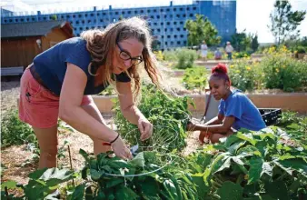  ??  ?? Jenn Mabry, contract grower for TLC Garden Center, left, and volunteer Tia Briggs work in what used to be the Chesapeake employees gardens in Oklahoma City.