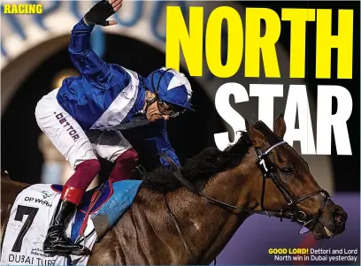  ?? ?? GOOD LORD! Dettori and Lord North win in Dubai yesterday