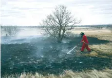  ??  ?? A member of the Moose Jaw Fire Department extinguish­es hot spots after knocking down the worst of the grass fire near the Humane Society on Thursday afternoon.