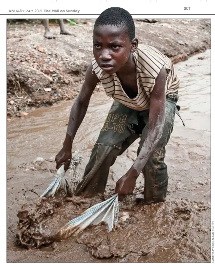  ??  ?? medievalco­nditions: A boy works in an unregulate­d mine in the Congo, the world’s main provider of cobalt