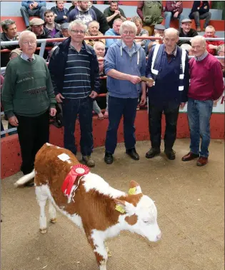  ?? Photo by Sheila Fitzgerald ?? William Egan, Milford won first prize for his Hereford heifer calf at the Kanturk Mart Hereford Calf Promotion. In William’s absence, John Murphy of Kanturk Mart accepted the prize presented by John Joe O’Reilly of the Hereford Society. Also included...