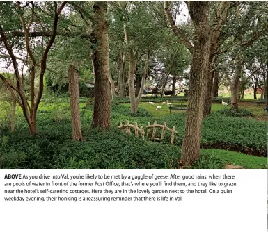  ??  ?? ABOVE As you drive into Val, you’re likely to be met by a gaggle of geese. After good rains, when there are pools of water in front of the former Post Office, that’s where you’ll find them, and they like to graze near the hotel’s self-catering cottages. Here they are in the lovely garden next to the hotel. On a quiet weekday evening, their honking is a reassuring reminder that there is life in Val.