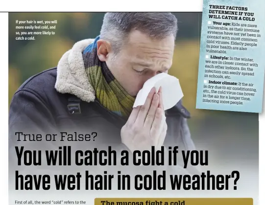  ??  ?? If your hair is wet, you will more easily feel cold, and so, you are more likely to catch a cold.