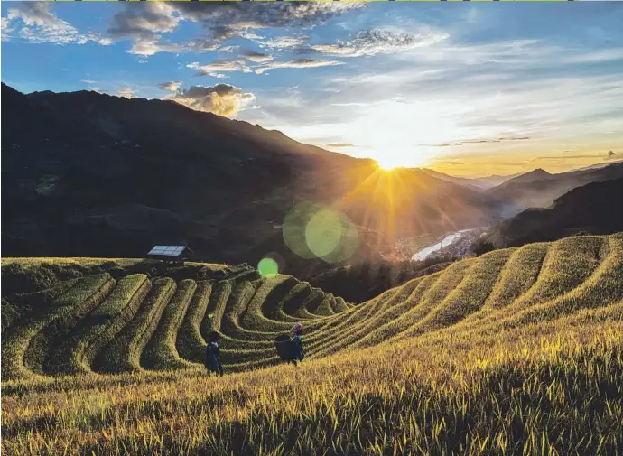  ?? ?? Las terrazas de los campos de arroz de Vietnam son un lugar inmejorabl­e para ver la salida del sol FOTOS: ISTOCK