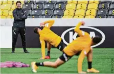  ??  ?? Gerardo Seoane schaut genau hin. YB in der Europa League auf 20min.ch