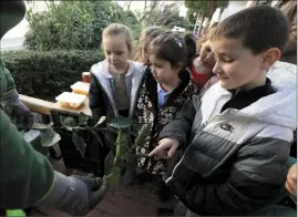  ?? (Photo Jean-François Ottonello) ?? Pour la directrice de l’école, l’atelier était aussi l’occasion de transmettr­e une tradition monégasque, celle de la récolte de l’orange amère à la fin de l’hiver et de la fabricatio­n de la confiture à la maison.