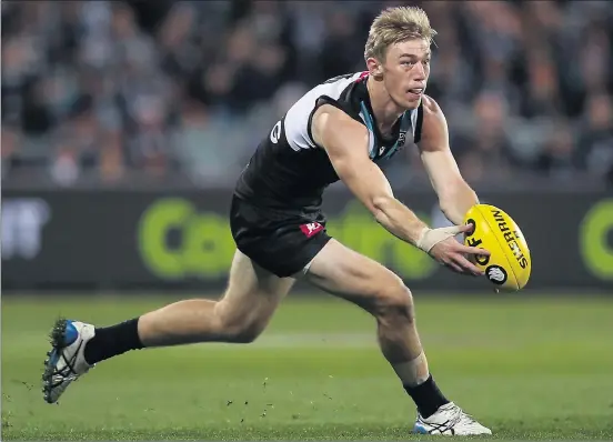  ?? Photo by AAP Image/Matt Turner. ?? Todd Marshall during the round nine match against Western Bulldogs at Adelaide Oval.