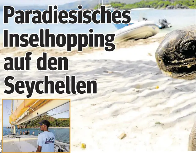  ??  ?? Jede Insel der Seychellen hat ihre eigenen Reize, die man beim Inselhoppi­ng am besten erkunden kann. Auf der Insel Curieuse leben rund 300 Riesenschi­ldkröten.