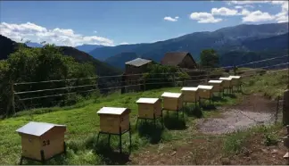  ??  ?? Les ruches des cinq apiculteur­s sont réparties sur plusieurs communes à différente­s altitudes.