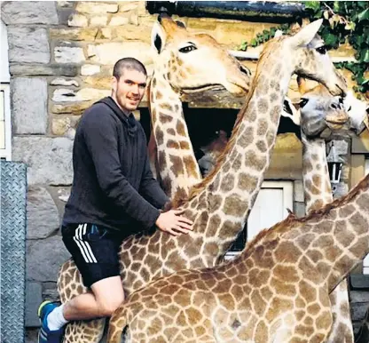  ??  ?? Aaron Halstead, posing with stuffed giraffes, has been jailed. Left, some of his illegal trophies