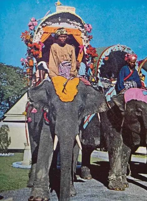  ?? PIX BY ALAN TEH LEAM SENG ?? The 1949 installati­on procession of Perlis ruler Raja Syed Harun Putra involved 15 magnificen­t elephants and their resplenden­tly attired mahouts, seated in glittering howdahs.