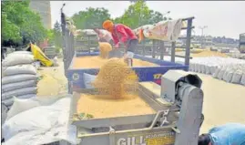  ?? SAMEER SEHGAL/HT ?? Workers use a sieve to separate wheat grain from husk at the Bhagtanwal­a grain market in Amritsar.