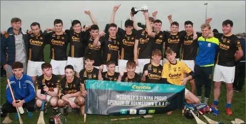  ??  ?? The Munna Abbáin Gaels combinatio­n with the spoils of success.