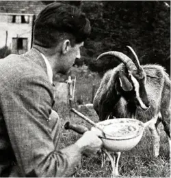  ??  ?? Orwell feeding Muriel the goat.