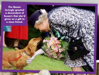  ?? ?? The Queen lovingly greeted a descendent of Susan’s that she’d given as a gift to a close friend.