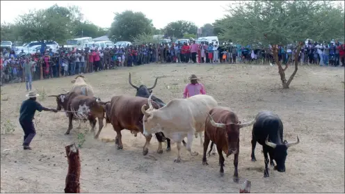  ?? Efano: Otwe li pewa ?? Tambula… Omufindani momaludi okwa tukula omaano aye navakwao.