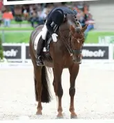  ??  ?? After performing under pressure at the 2013 Europeans to clinch team gold (middle), Helen and Damon Hill secure double silver and team gold at Normandy WEG in 2014 (top and above); their final show together