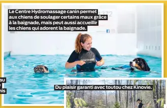  ?? ?? Le Centre Hydromassa­ge canin permet aux chiens de soulager certains maux grâce à la baignade, mais peut aussi accueillir les chiens qui adorent la baignade.