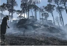  ?? Lebanon Civil Defence ?? Fires swept across a large area of dense pine forest in the northern Akkar region of Lebanon this week