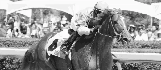  ?? COADY PHOTOGRAPH­Y ?? The Money Dance wins a maiden race at Oaklawn Park on April 14, which he followed with a May 3 allowance win at Belmont.