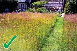  ??  ?? Wild meadow: How gardens are predicted to look this year