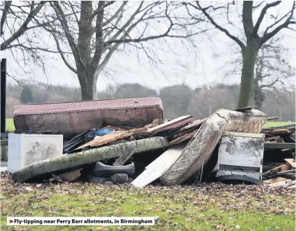  ??  ?? &gt;Fly-tipping near Perry Barr allotments, in Birmingham