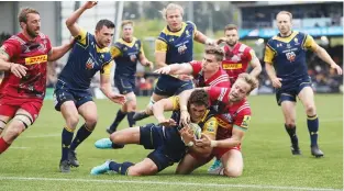  ??  ?? Humiliated: Jackson Willison scores in Worcester’s rout of Quins