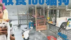  ??  ?? 茜丁收養了大約100­只貓咪，每月要300公斤的糧­食。