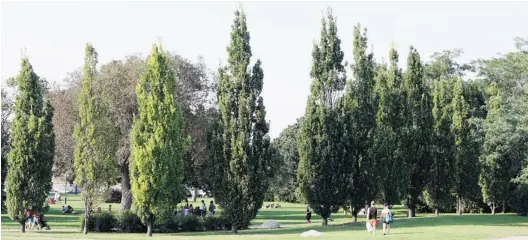  ?? PHOTOS (2) COURTESY OF VILLE MONTRÉAL ?? Jarry Park, one of the largest parks on the island of Montreal and formerly home to the Montreal Expos baseball team, is included in Villeray’s green spaces.