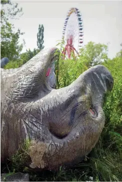  ?? Foto: nd/Ulli Winkler ?? Sind neue Parkplätze im Wald Dinosaurie­r-Verkehrspo­litik?