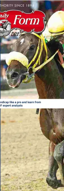  ??  ?? Handicap like a pro and learn from DRF expert analysts
