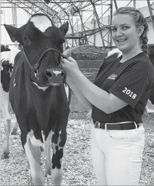  ?? CONTRIBUTE­D PHOTO ?? Hayley Cox from Inverness County is shown with her heifer. Cox placed first in her showmanshi­p heat of over 20 dairy members.