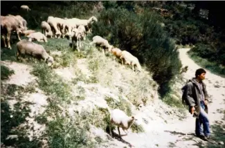  ?? (DR) ?? Alors qu’il montait en direction de sa bergerie à moto, Pierre Leschiera, âgée de  ans, avait été exécuté froidement à coups de chevrotine dans le dos, avant d’être achevé à coups de crosse en pleine tête.