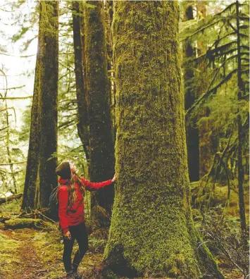  ?? JEREMY KORESKI ?? Forest bathing at the Great Bear Rainforest is an integral part of the resort's wellness experience at Nimmo Bay.