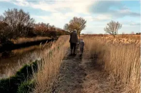  ??  ?? Walking between the reeds beside Waxham New Cut.