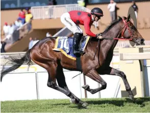  ?? GOLD CIRCLE ?? The Dazzler was in desperate need of the outing in his last run and should be fit enough to win Race 7 at the Vaal today. /
