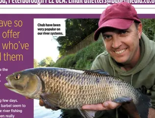  ??  ?? Chub have been very popular on our river systems.