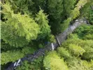  ?? Photograph: Courtesy of the Wilderness Committee ?? Backpacker­s camp on the edge of 26 Mile Creek, in the Skagit River headwaters.