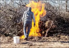  ??  ?? Master gardener and volunteer Bill Towland lights a brush pile.