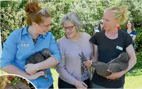  ?? PHOTOS: JOHN VELVIN/STUFF ?? Emma Bean, left, Conservati­on Minister Eugenie Sage and Sian Potier with two of the kiwi before they were released. Left: This kiwi checks out its new home.