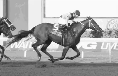  ?? DUSTIN ORONA PHOTOGRAPH­Y ?? She’s a Julie wins the Remington Park Oaks with Ricardo Santana aboard on Sept. 30.