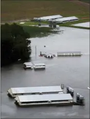  ?? STEVE HELBER — THE ASSOCIATED PRESS ?? A hog farm is inundated with floodwater­s from Hurricane Florence near Trenton, N.C., Sunday.