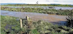  ?? ROBYN EDIE/STUFF ?? The Hollyburn Creek, which borders O’Brien’s property, and the land beyond has been flooded by the Waiau River.